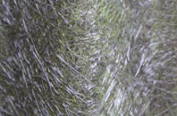 Blymhill Lawns fibreglass roof work